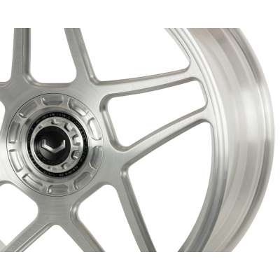 Vossen GEN-02
