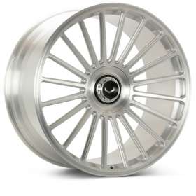 Vossen GEN-04