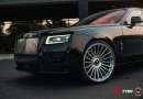 Vossen GEN-04
