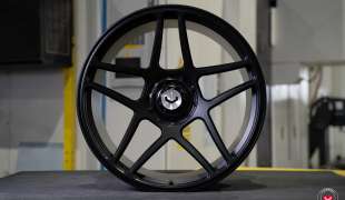 Vossen GEN-02