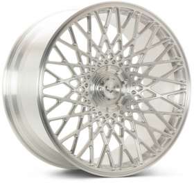 Vossen GEN-05