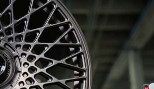 Vossen GEN-05
