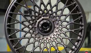 Vossen GEN-05