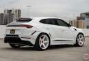 Vossen GEN-01