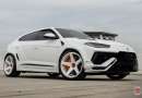 Vossen GEN-01