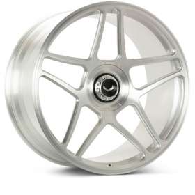 Vossen GEN-02