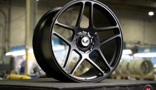 Vossen GEN-02
